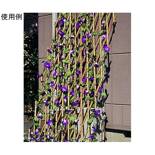 HANA垣(はながき) #57042