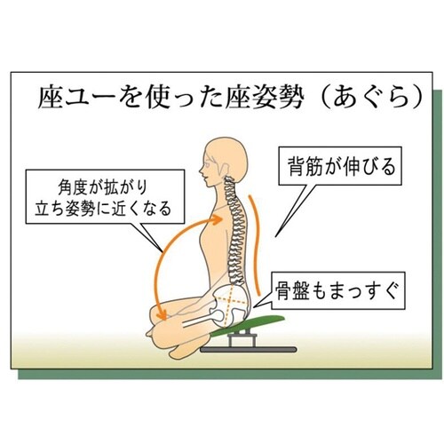 背付 座ユー ZAU−03 モスホワイト