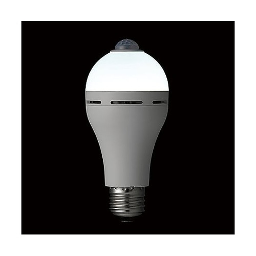 AC100V/8.0W/E26 電球/L