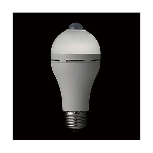AC100V/8.0W/E26 電球/L
