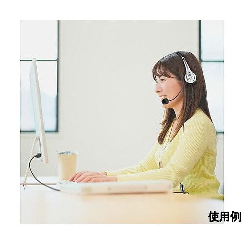 1.8m USBヘッドセット(Type