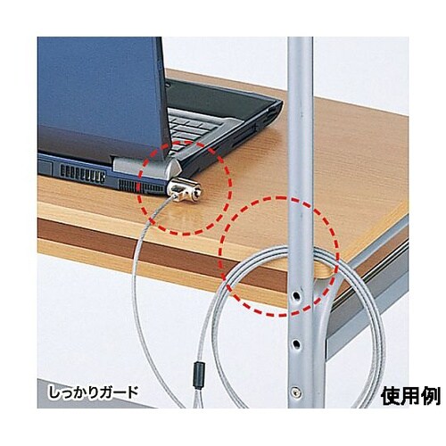 φ4.2mmx2m PCセキュリティワイ