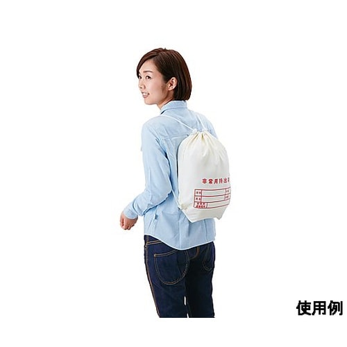 非常用持ち出し袋セット(20点) EA9