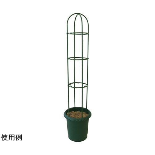 ダイムリング/中(直径27cm)
