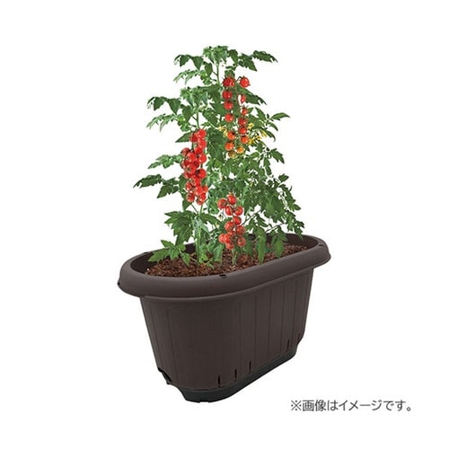 エアスリットプランター670 チョコブラ
