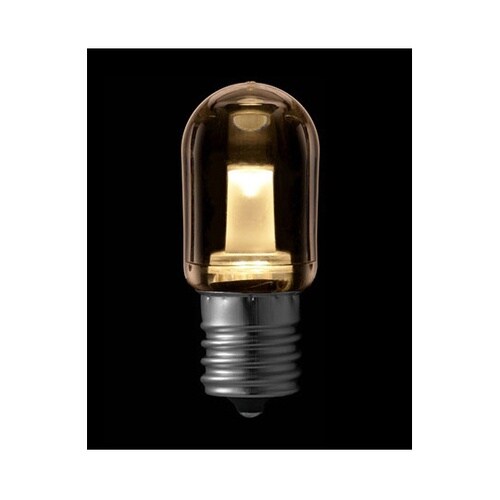 【20個セット】 LEDナツメ球電球色