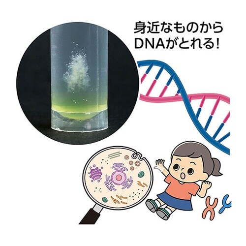 【5個セット】 生命の設計図 DNA抽出