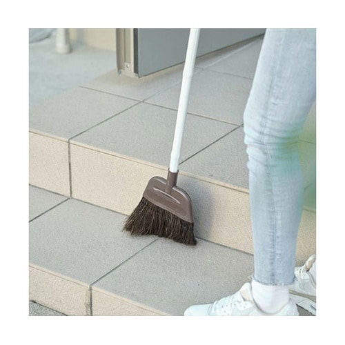 【5本セット】 Daily Clean
