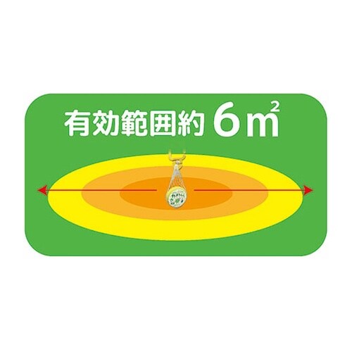 さよならカメちゃん 掛けタイプ 気になる