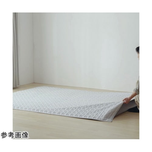 はがして洗える Hagashラグ セット