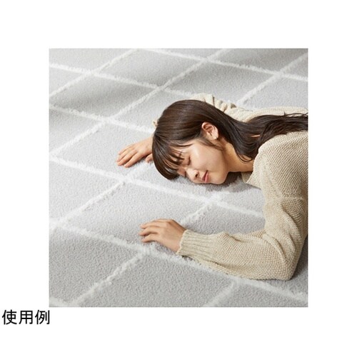 はがして洗える Hagash カバー ベ