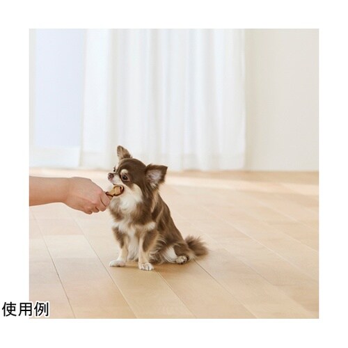 骨型デンタルガム10本 DGH−10