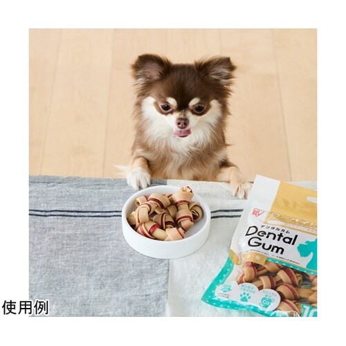 骨型デンタルガム10本 DGH−10