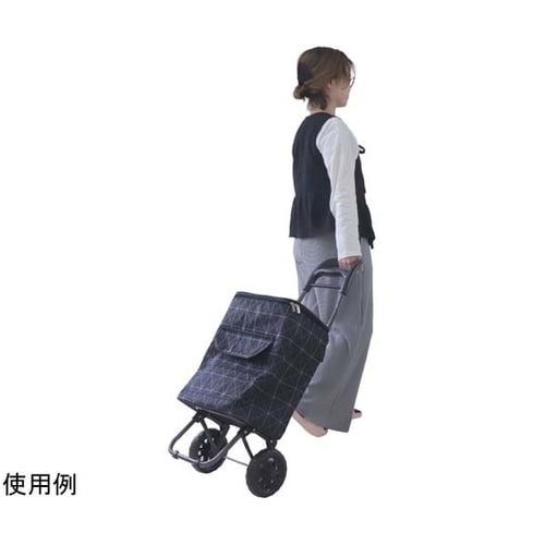 保冷保温キャリーバッグ WJ−9263