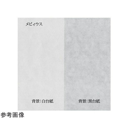メビィウス水墨画帳 F6判 1箱(20枚