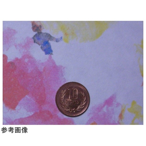 メビィウス水墨画帳 F6判 1箱(20枚