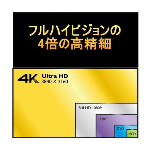 4Kマイクロスコープ (USB出力) U