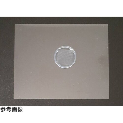 TASCLメッシュ 1000 TASCL