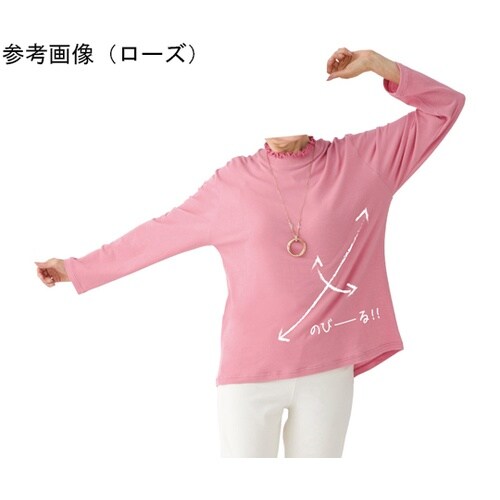 婦人 ハイストレッチメロウネックTシャツ