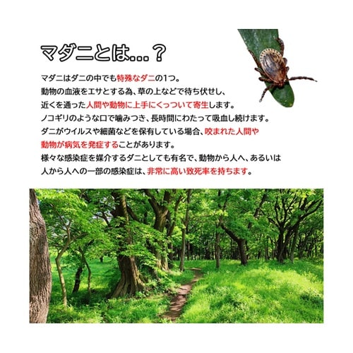TIGER ステンレス・マダニリムーバー