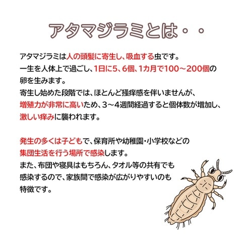 TIGER シラミ取りコーム ブルー C