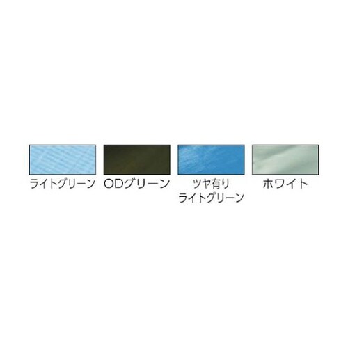 EHLGエステル帆布クロスライトグリーン