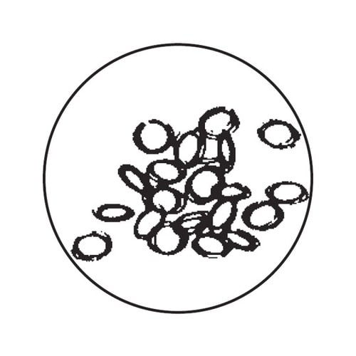 FR65−B−5オーバルリングPAT.P