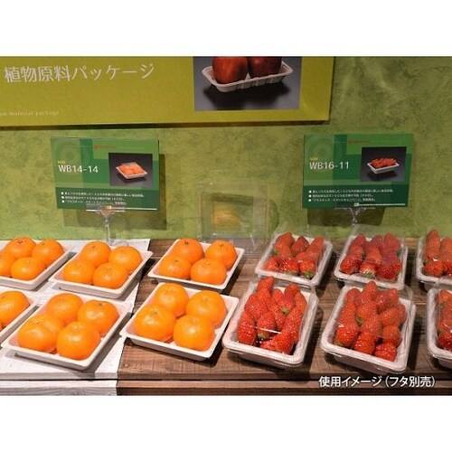 604004 麦バガストレー1000枚入