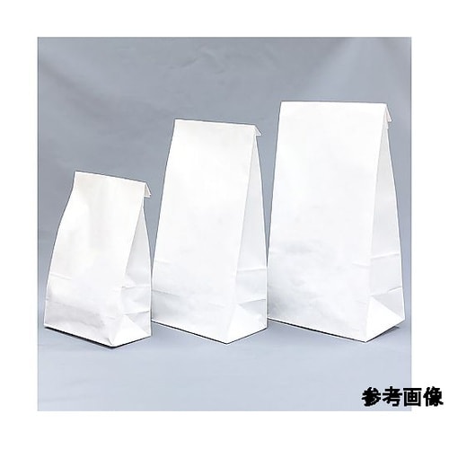 60224−000 角底薬袋 大 無地