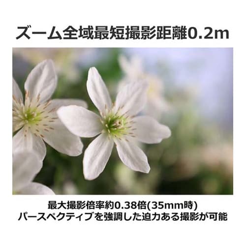 RFレンズ RF14−35mm RF14