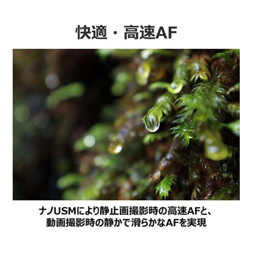 RFレンズ RF14−35mm RF14