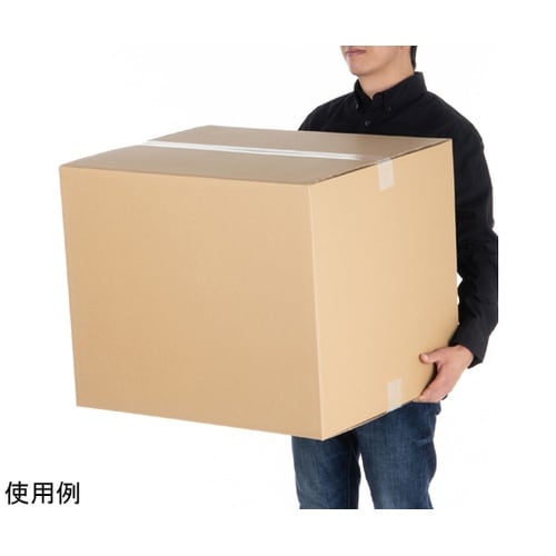 段ボール 160サイズ 10枚入 011