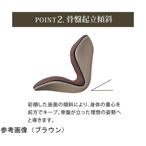 Style PREMIUM ブラック Y