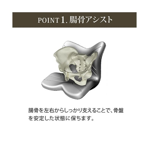 Style PREMIUM ブラウン Y