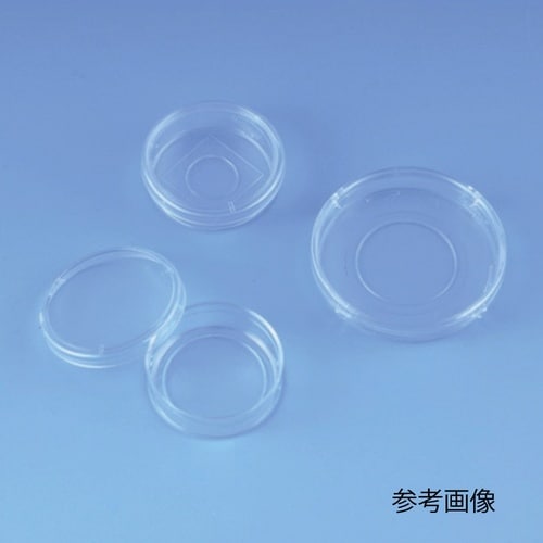ガラスボトムディッシュ 1箱(100個入