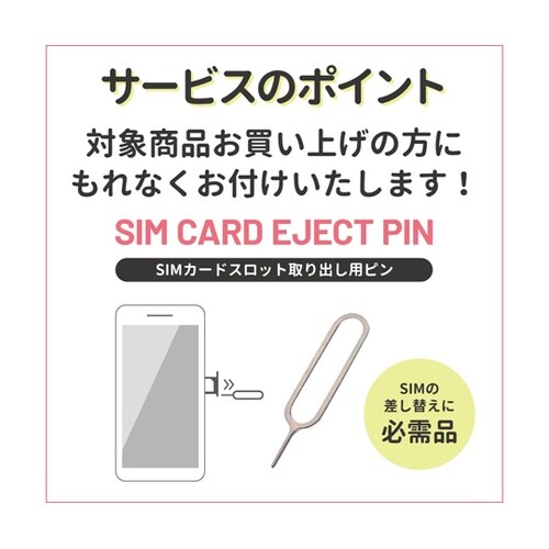 SIMカード 365日20GBプラン[J