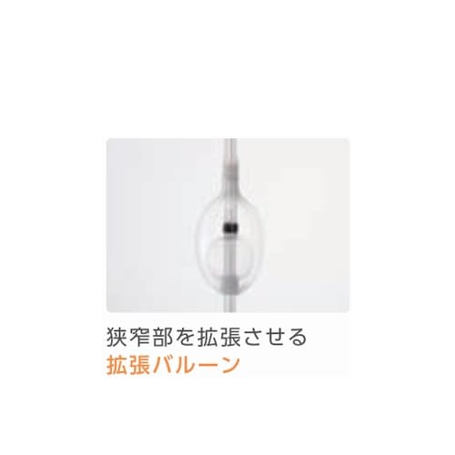 食道拡張用バルーンカテーテル 16Fr