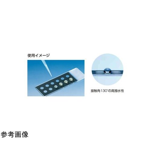 白縁磨F NO.1 高撥水性印刷 黒 1