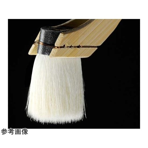 白竹刷毛 15mm 12本入