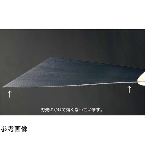 フッ素 金ベラ 60mm