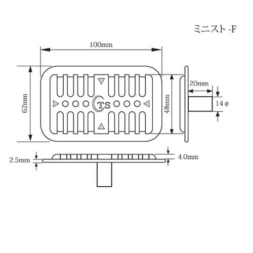 TS ストレーナー ミニスト−F(平型)