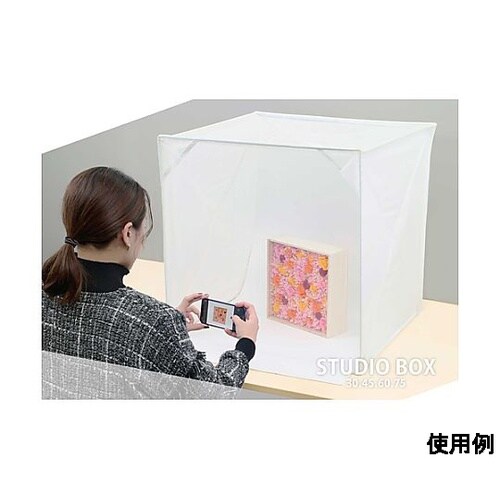 300x300x300mm デジカメスタ