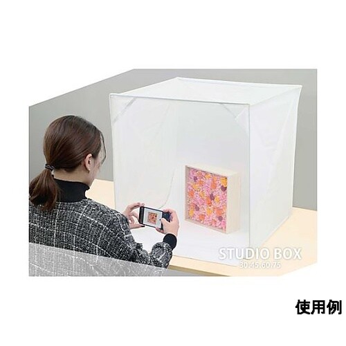 450x450x450mm デジカメスタ