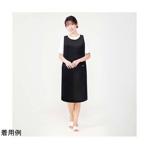 LDLエプロンL01 T101001