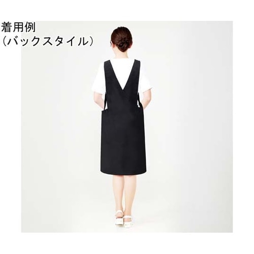 LDLエプロンL01 T101001