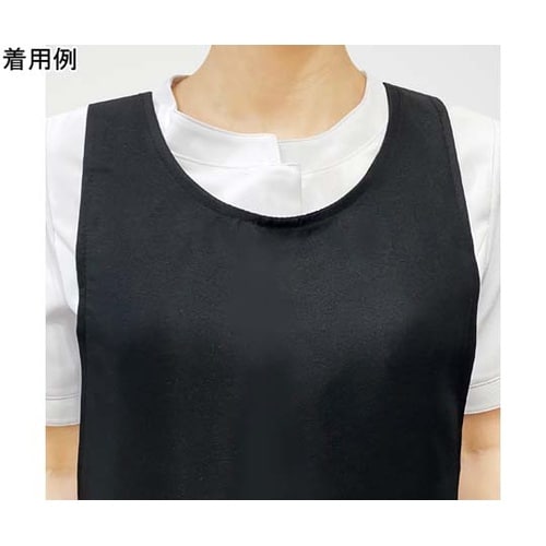 LDLエプロンL01 T101001