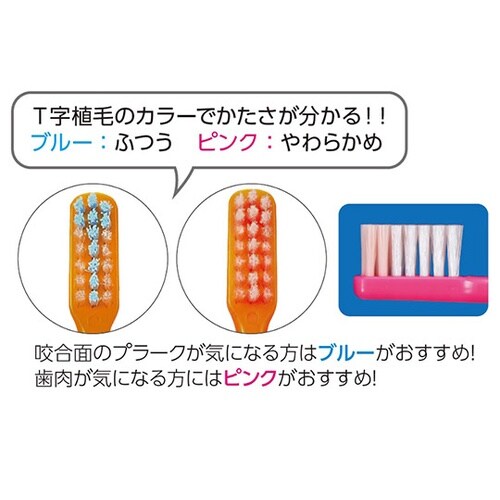 Ci Pro プラス歯ブラシ M (ふつ