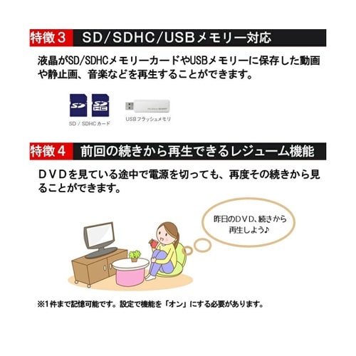 Gaudi 9型バッテリー ポータブルD
