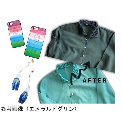 染料 みやこ染め コールダイホットECO