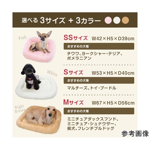 ペットプロ マイライフベッド Mサイズ